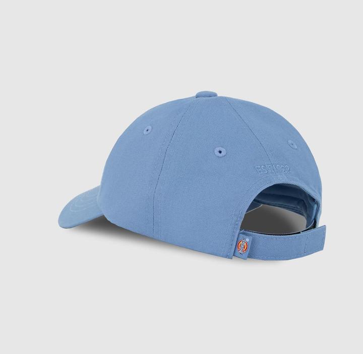 Immagine prodotto Dickies Hardwick Cap K (Taglia unica)