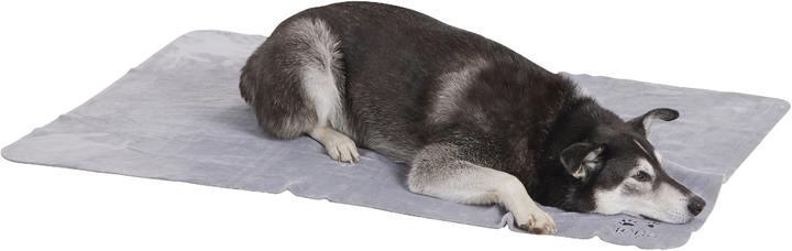 Immagine prodotto Siena Home Coperta in pile (Cane)