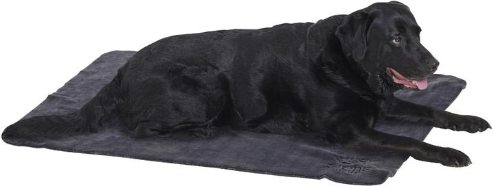 Immagine prodotto Siena Home Coperta in pile (Cane)