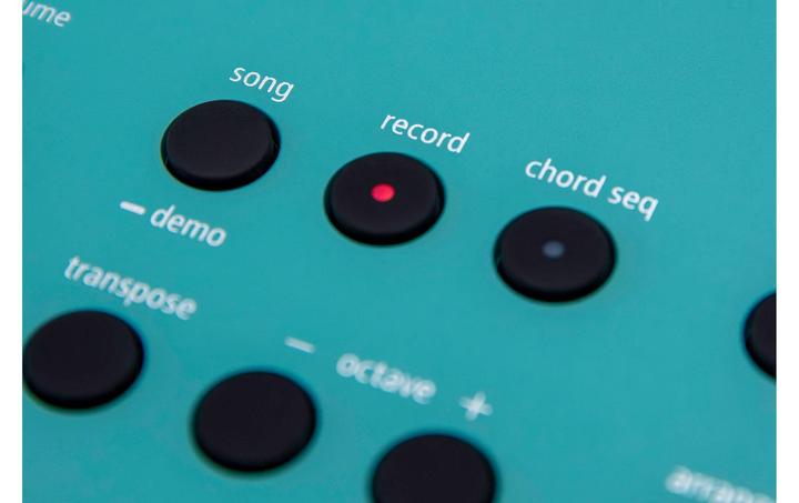 Actual product image Roland GO:KEYS 3 (61 Keys)