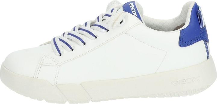 Actual product image Geox Sneaker (33)