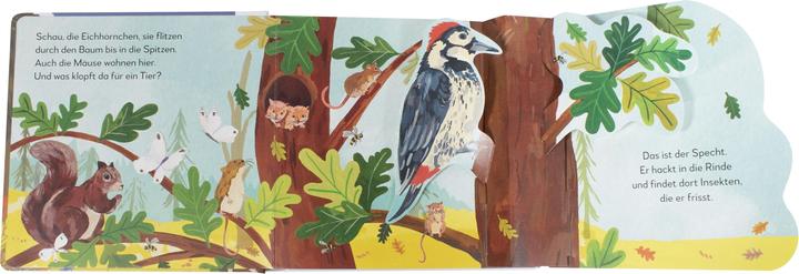 Produktbild Mein Pop-up-Buch zum Staunen. Wer lebt im Wald? (Deutsch)