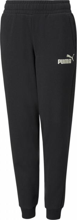 Actual product image Puma ESS Logo Pants FL cl B (176)