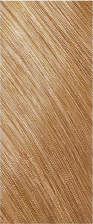 Produktbild Goldwell Topchic Zero - 8G Hell Goldblond (8G - goldblond)