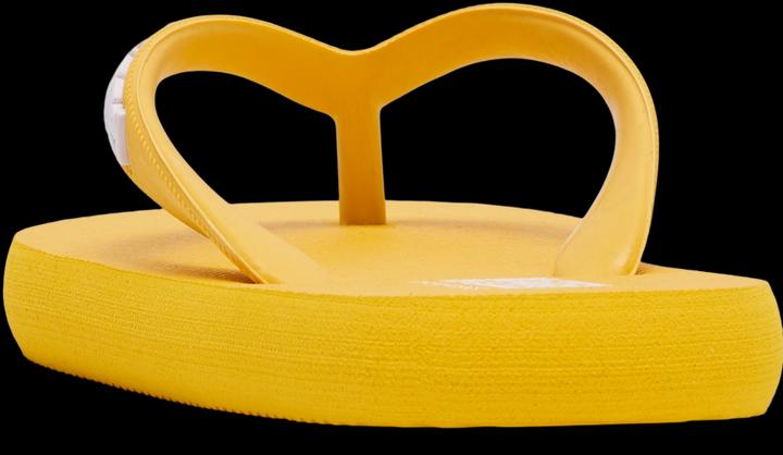 Image du produit hummel Flip Flop Jr (39)