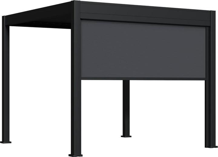 Immagine prodotto Weide Tenda parasole elettrica per salice Pergola elettrica | antracite (248.50 cm, 9 cm)