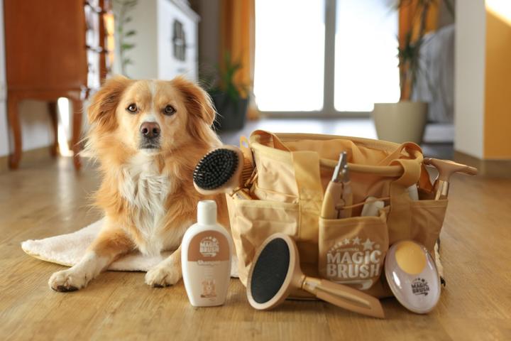 Image du produit Magic Brush Brosse à poils doux pour chien (Chien)