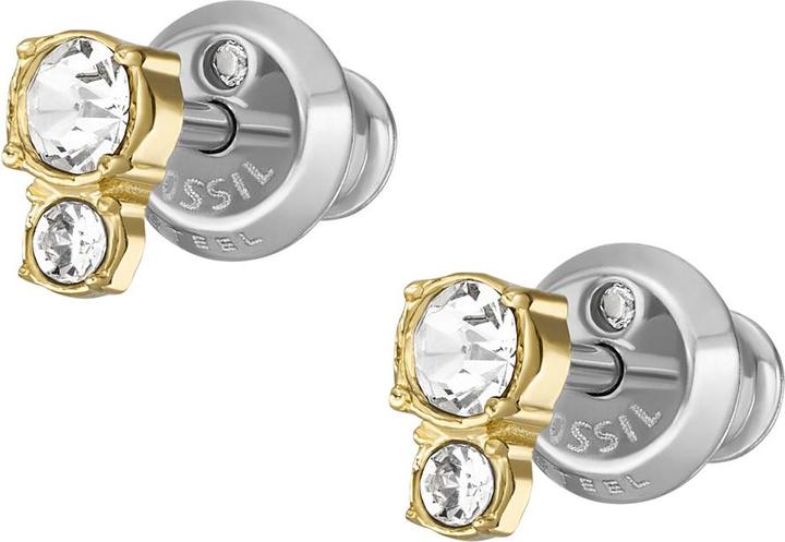 Image du produit Fossil Bijoux Boucles d'oreilles (Acier inoxydable)