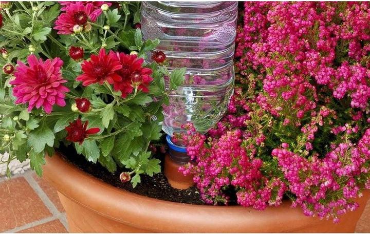 Actual product image Blumat Bottle adapter with clay cone (Clay cone)