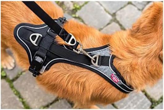 Produktbild Curli Geschirr Magnetic Belka Comfort (XL, Hund, Allgemein, Spazieren)