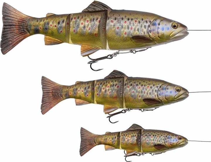 Image du produit Savage Gear 4D Line Thru Trout (25 cm)
