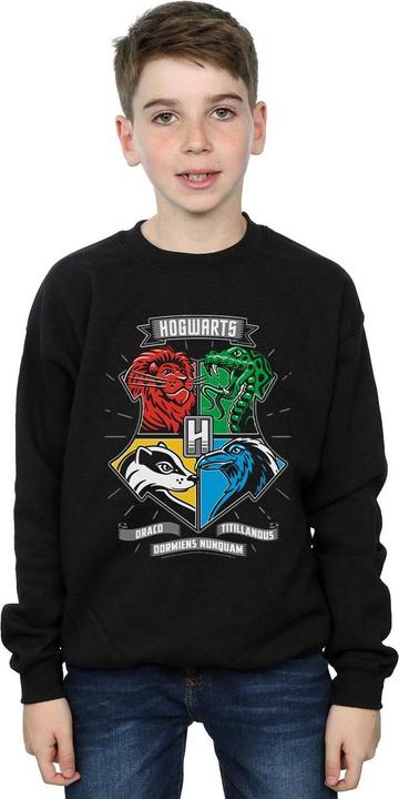 Image du produit - Sweat HOGWARTS TOON CREST - Garçon (152, 158)