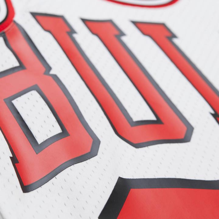 Image du produit Mitchell & Ness Swingman Mesh Jersey Chicago Bulls 1997 Dennis Rodman - L (L)