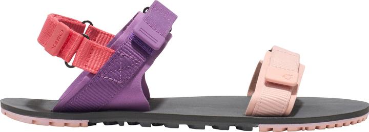 Actual product image Xero Shoes D-Trail (40.5)