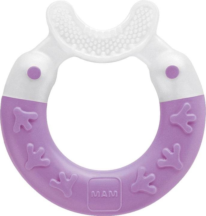 Image du produit MAM Bite & Brush