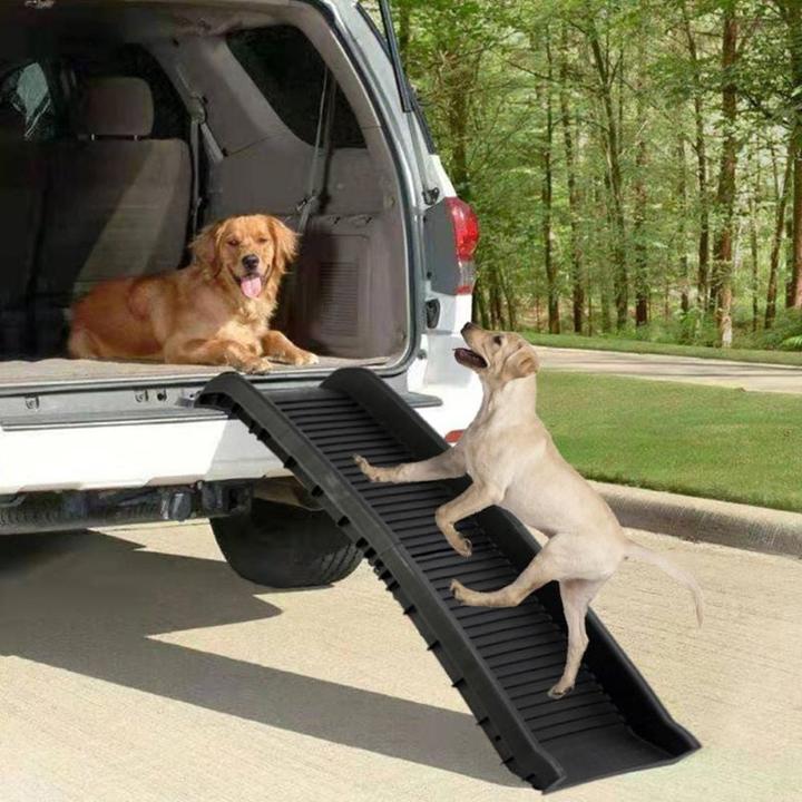 Immagine prodotto Hermex Rampa per cani Rampa pieghevole Aiuto per l'accesso Trasportino per animali domestici (Cane, Lavabile, Pieghevole)