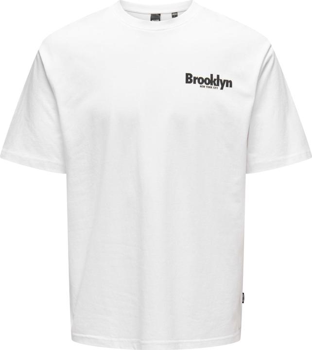 Only & Sons Onskeane Rlx Ss Print Tee Noos (L)