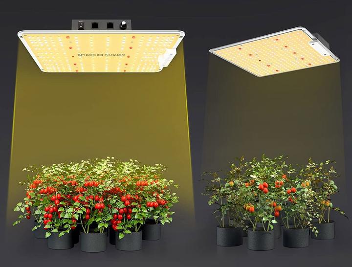 Immagine prodotto Spider Farmer SF1000 (LED, 240 V)