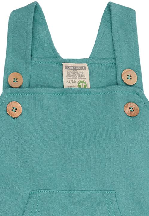 Actual product image loud + proud Dungarees (74)