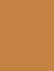 Image du produit Erborian Super BB (Caramel)