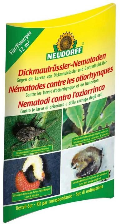 Produktbild Neudorff Dickmaulrüssler-Nematoden (Bestell-Set mit Bestellgutschein) (Schadinsekten)