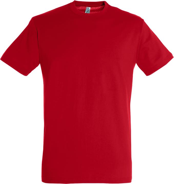 Sols Regent TShirt Kurzarm
