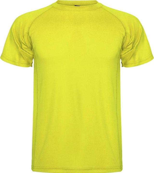 Actual product image Alpinia Mens Montecarlo Short-Sleeved Sports T-Shirt (L)
