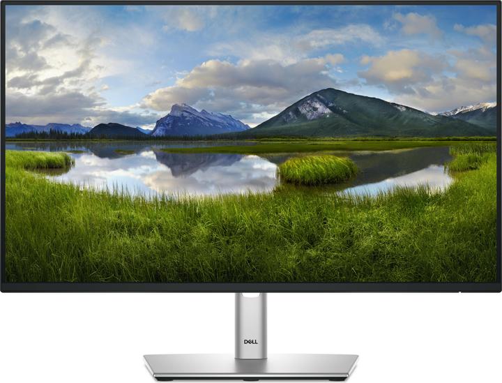 Dell P2425H (1920 x 1080 pixels, 23.80")