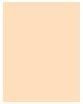 Actual product image Dior Diorskin Forever Perfect (2W Warm)