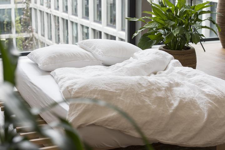 Actual product image lavie Linus (Pillowcase, 65 x 65 cm)