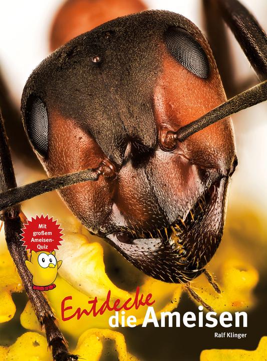 Image du produit Entdecke die Ameisen (Allemand, Ralf Klinger, 2023)