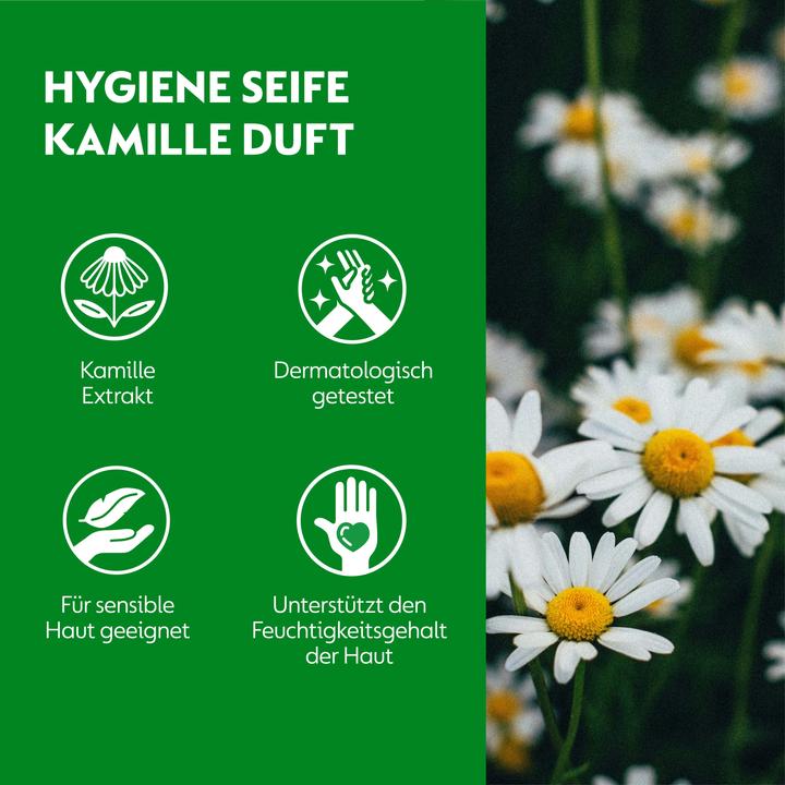 Actual product image Dettol Recharge de savon d'hygiène No-Touch à la camomille - 250 ml (refill, 250 ml)