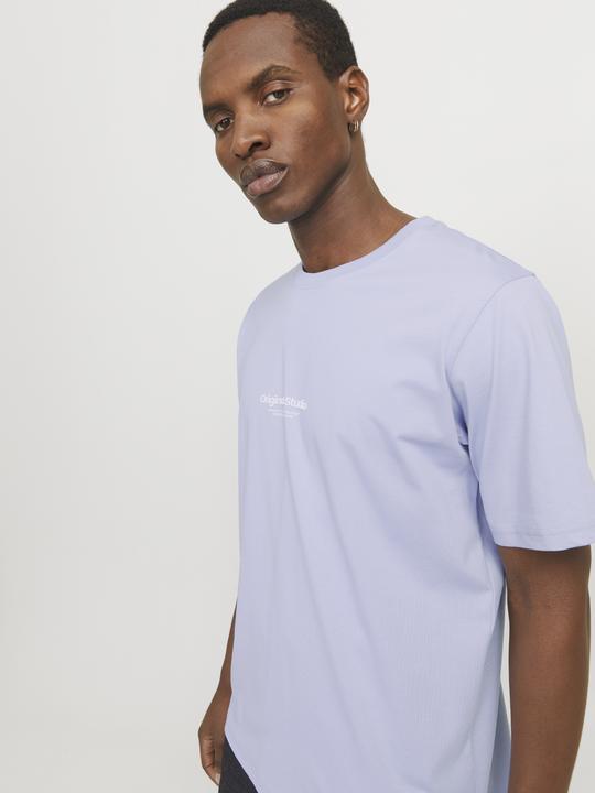 Immagine prodotto Jack & Jones Jorvesterbro Tee Ss Crew Neck Noos (XXL)