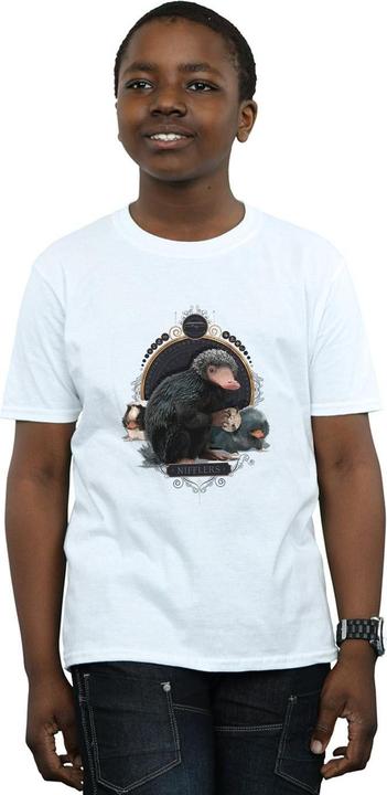 Actual product image Fantastic Beasts Boys Baby Nifflers T-Shirt (140, 146)