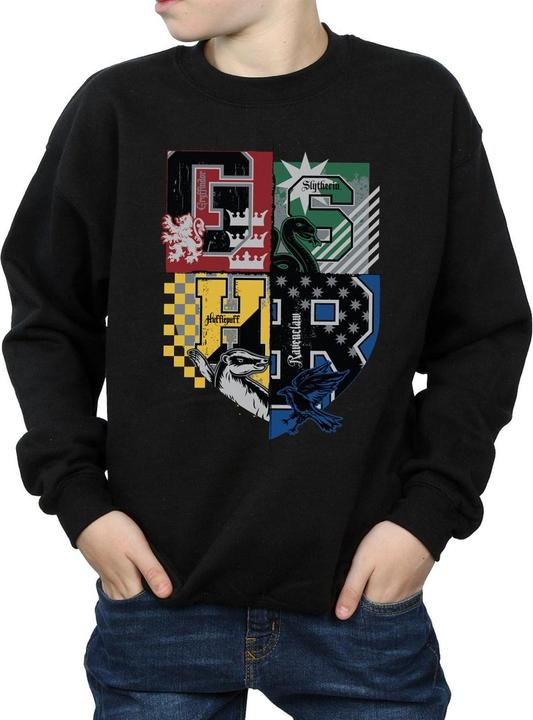 Actual product image Sweatshirt boys (116)