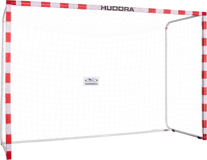 Image du produit Hudora Porte Allround 300