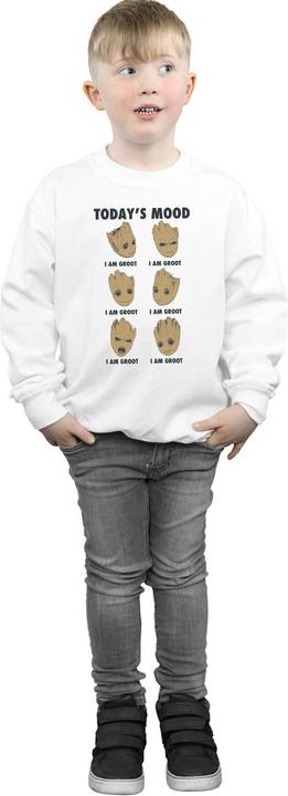 Produktbild Guardians Of The Galaxy Groot Today's Mood Sweatshirt Jungen (152, 158)