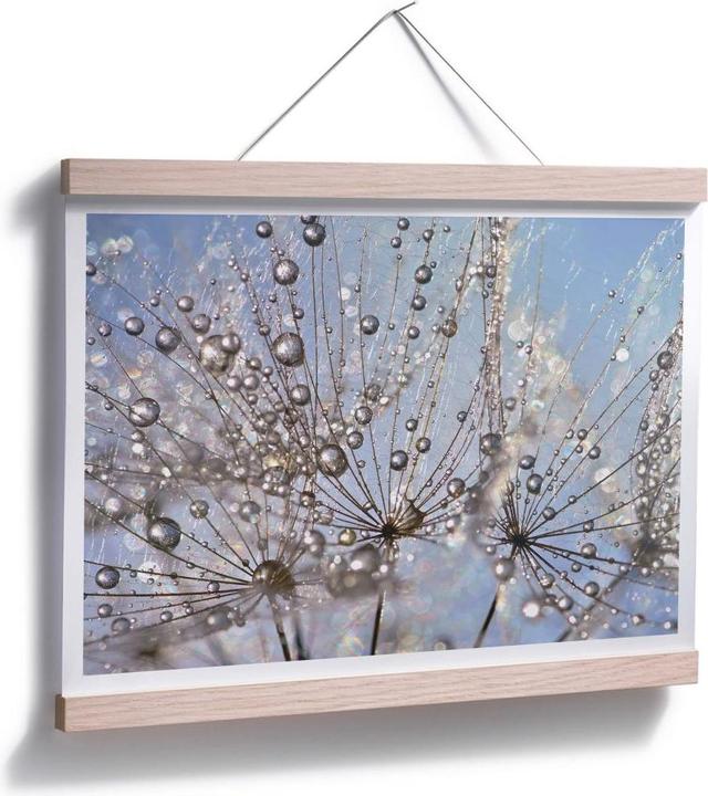 Actual product image Trenddeko Water drop in the dandelion (80 x 60 cm)