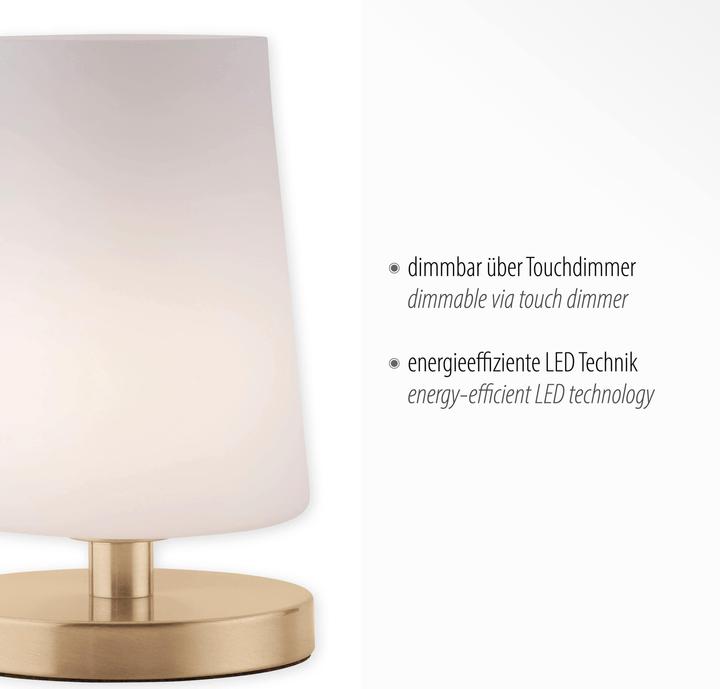 Produktbild Paul Neuhaus messing LEDTischleuchte 3000K 3W (245 lm, G9)