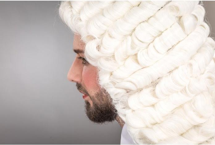 Actual product image Festartikel Müller Wig judge