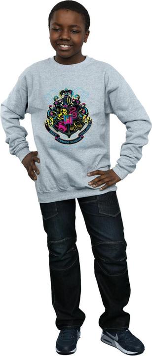 Image du produit - Sweat NEON HOGWARTS CREST - Garçon (116)