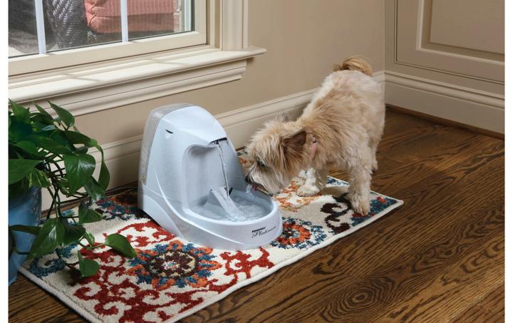Image du produit PetSafe Platine (5 l)
