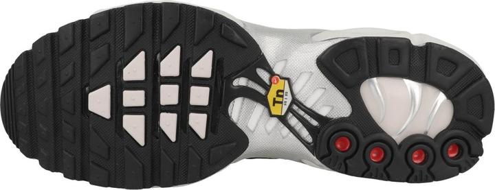 Actual product image Nike Air Max Plus (42.5)