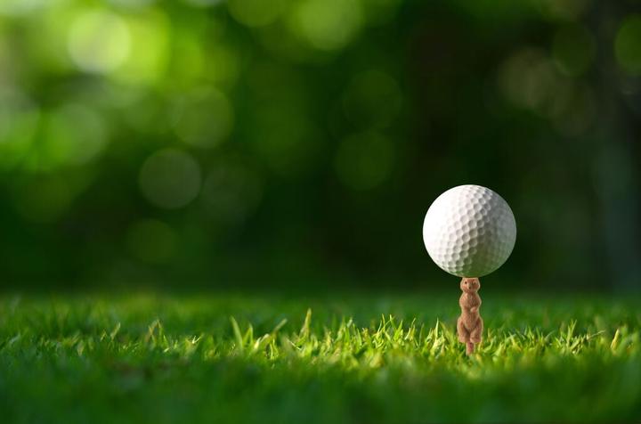 Actual product image Kikkerland Gopher Golf Tee S/6