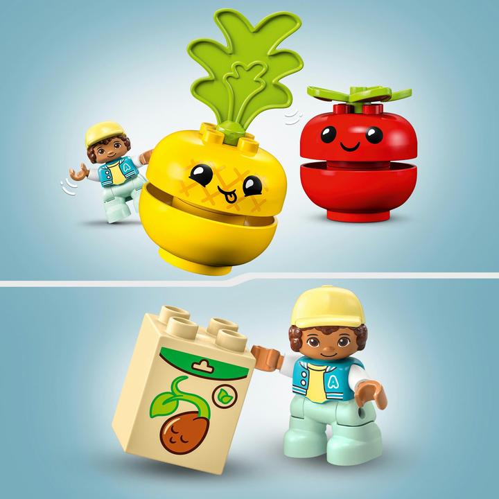 Immagine prodotto LEGO Trattore per frutta e verdura (10982)