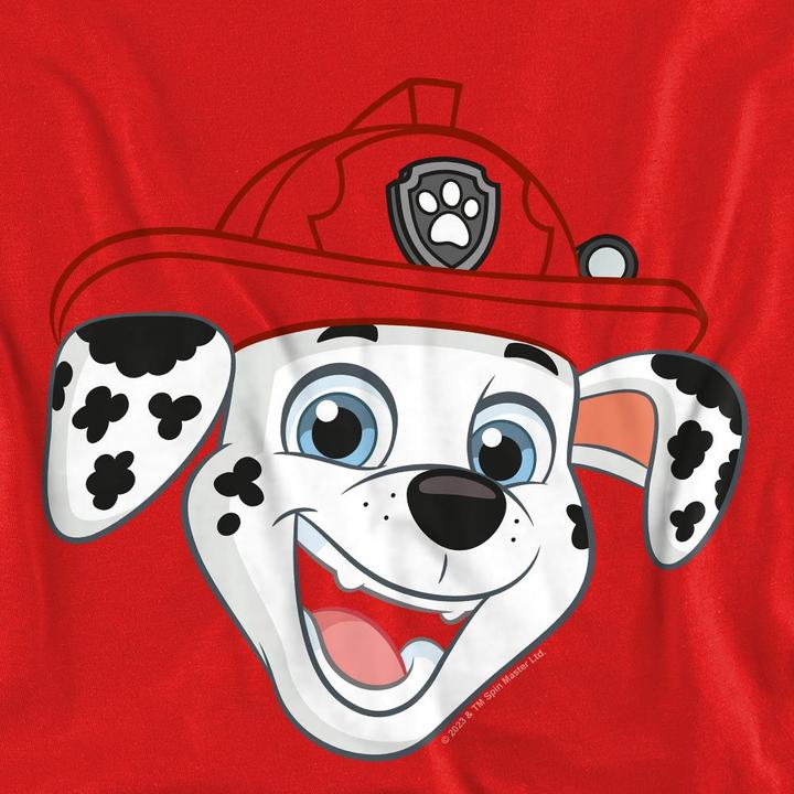 Produktbild Paw Patrol Grin Sweatshirt (L)