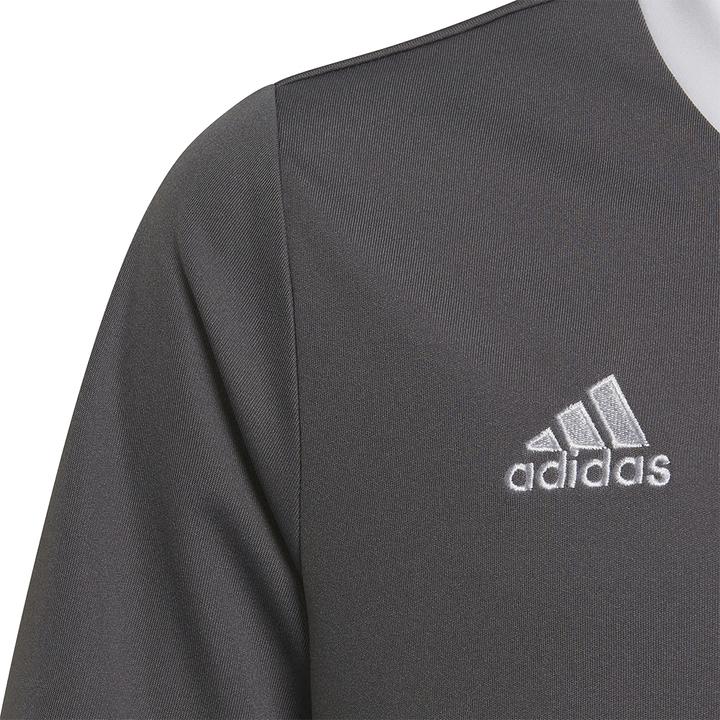 Produktbild adidas Entrada 22 Trikot (140)