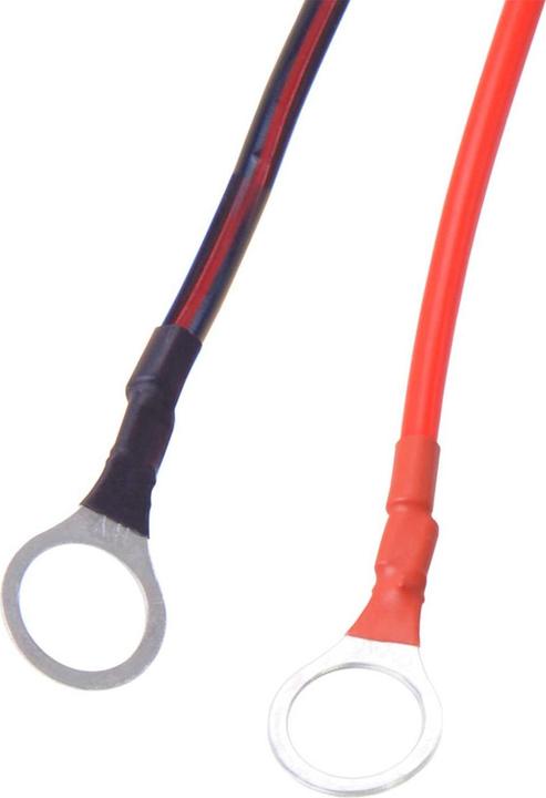 Produktbild Filmer Batterie-Erhaltungs-Ladegerät 6V/12V