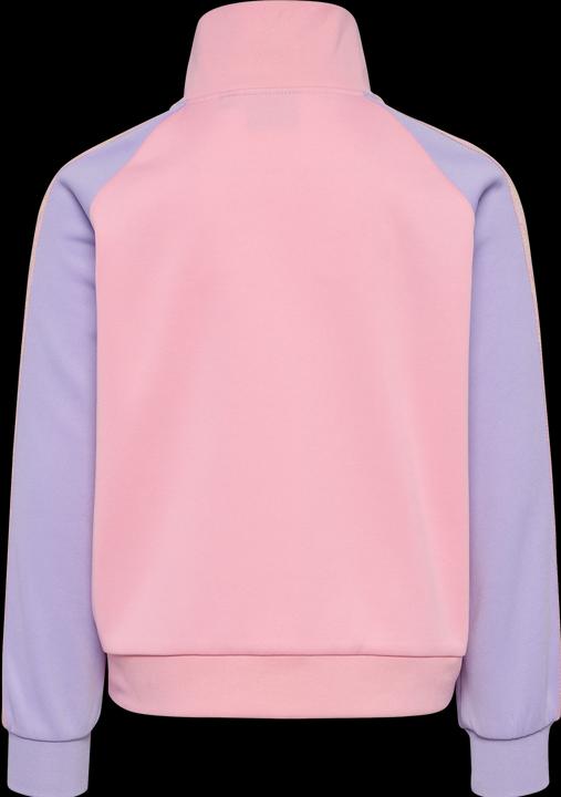 Image du produit hummel hmlDAILY ZIP JACKET (104)