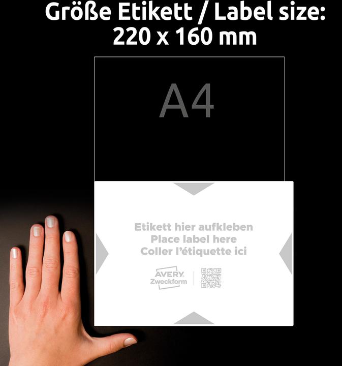 Actual product image Avery Carrier labels